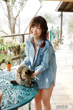 伪装者一共多少集